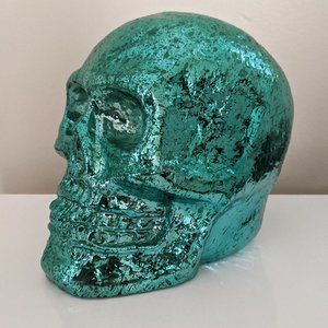 LED Light Skull 💀